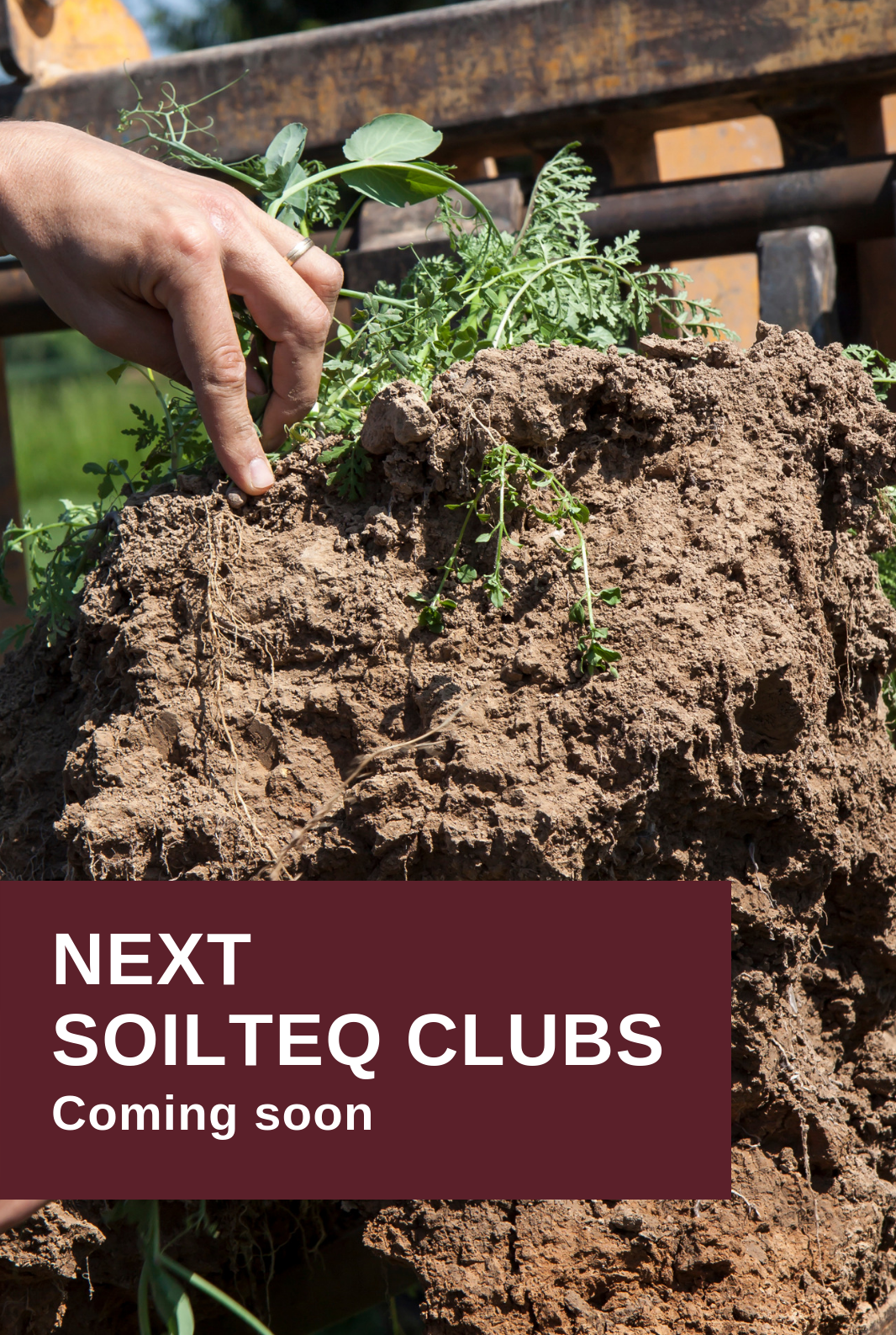SOILTEQ banner 282x420 EN.png