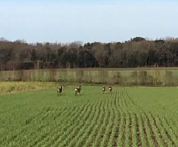 temoignangedamien (2).jpg