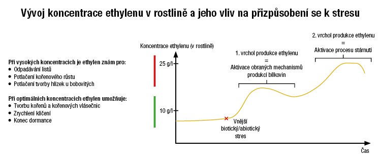 schéma.png