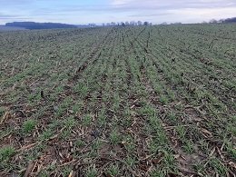 temoignagestephane (1).jpg